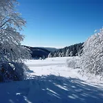 Flair-hotel Waldfrieden 3*
