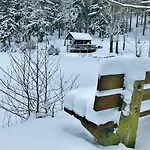 Flair-hotel Waldfrieden Oberweißbach