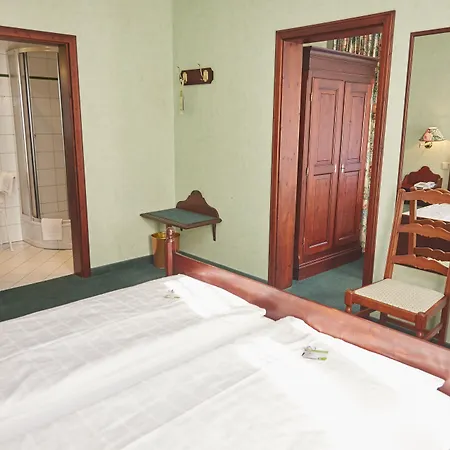 Flair-hotel Waldfrieden Oberweißbach