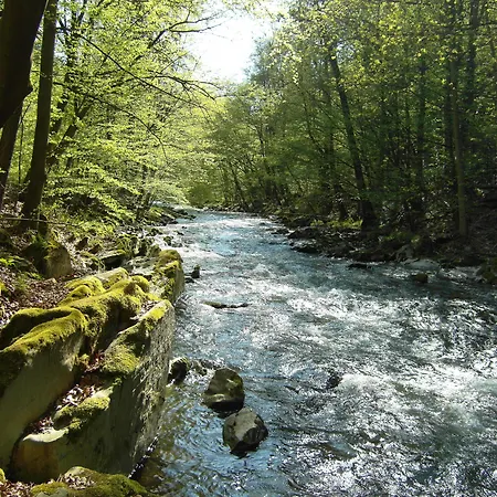 沃尔德弗雷德弗莱尔酒店 3* Oberweißbach