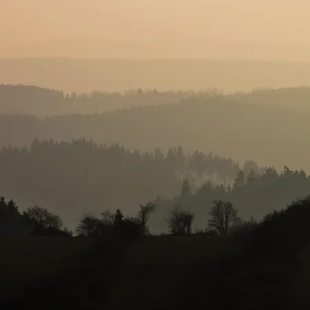Flair-hotel Waldfrieden 3* Oberweißbach