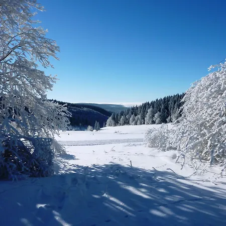 Flair-hotel Waldfrieden 3*