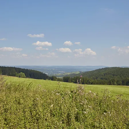 沃尔德弗雷德弗莱尔酒店 酒店 Oberweißbach