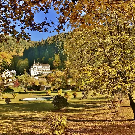 酒店 沃尔德弗雷德弗莱尔酒店 Oberweißbach