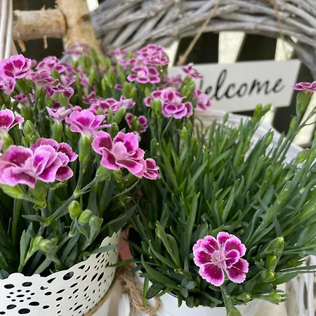 Flair-hotel Waldfrieden Oberweißbach