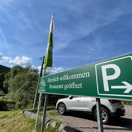 酒店 沃尔德弗雷德弗莱尔酒店 Oberweißbach