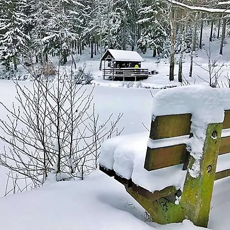 Flair-hotel Waldfrieden Ξενοδοχείο Oberweißbach