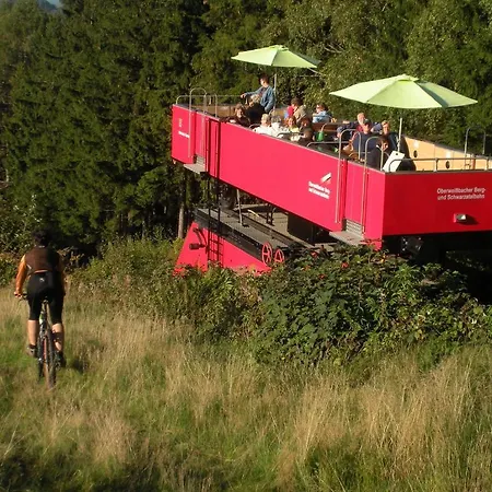 Flair-hotel Waldfrieden Hotel 3*