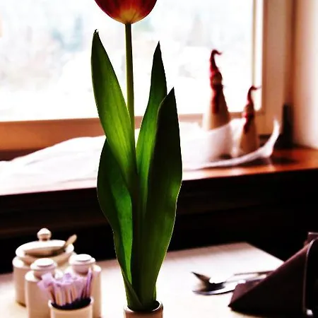 Flair-hotel Waldfrieden Hotel