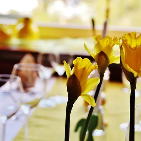 Hotel Flair-hotel Waldfrieden Oberweißbach