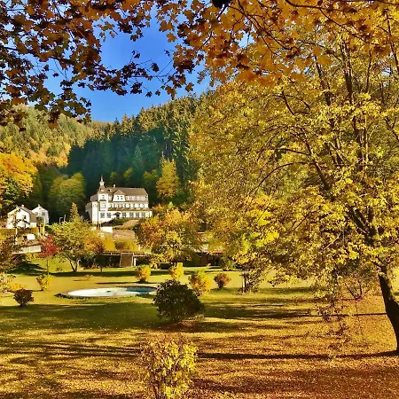Flair-hotel Waldfrieden 3*