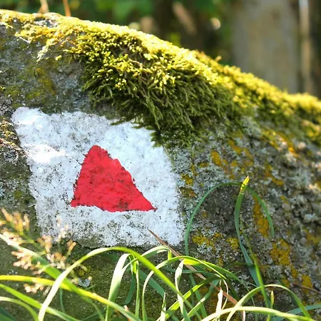 Flair-hotel Waldfrieden Hotel 3*