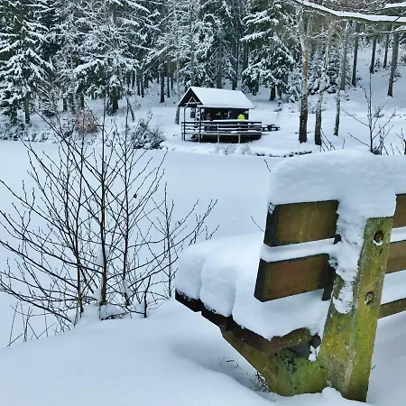 Flair-hotel Waldfrieden Oberweißbach
