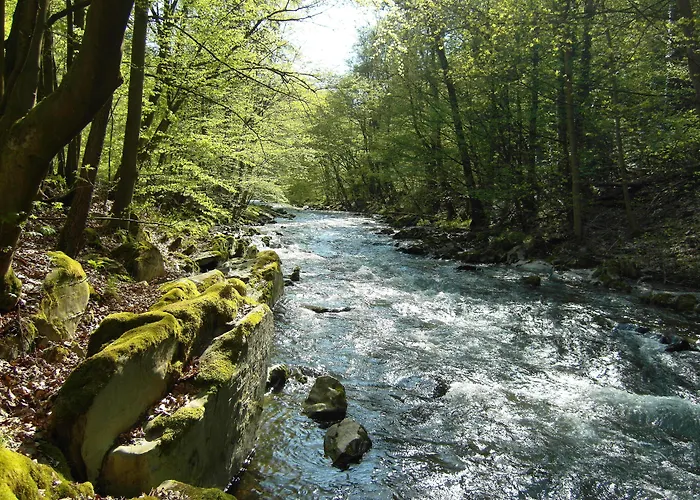 Flair-hotel Waldfrieden 3* Oberweißbach