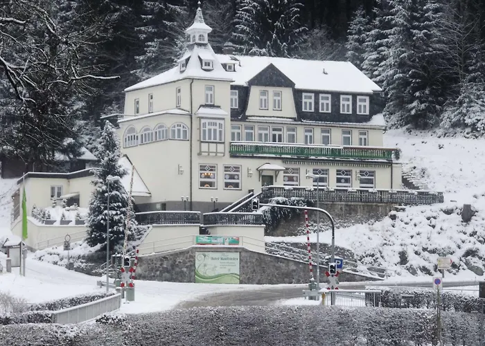 Hotel Flair-hotel Waldfrieden Oberweißbach