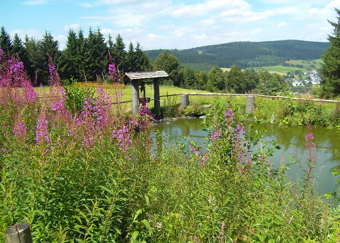 Hotell Flair-hotel Waldfrieden 3*