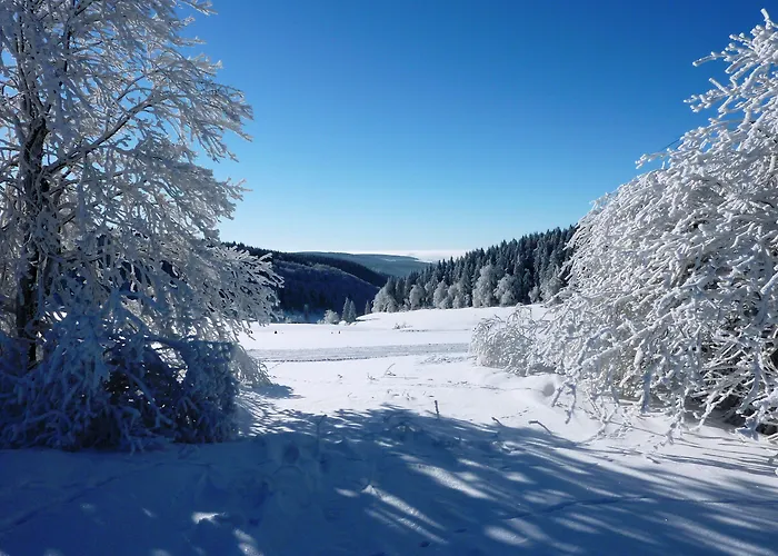 Flair-hotel Waldfrieden 3*