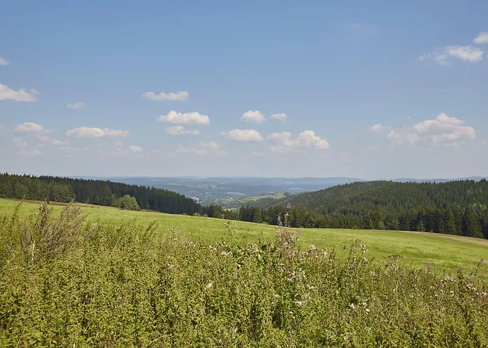 Flair-hotel Waldfrieden Hotel Oberweißbach