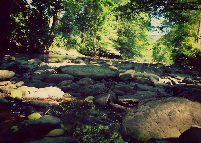 Hotel Flair-hotel Waldfrieden