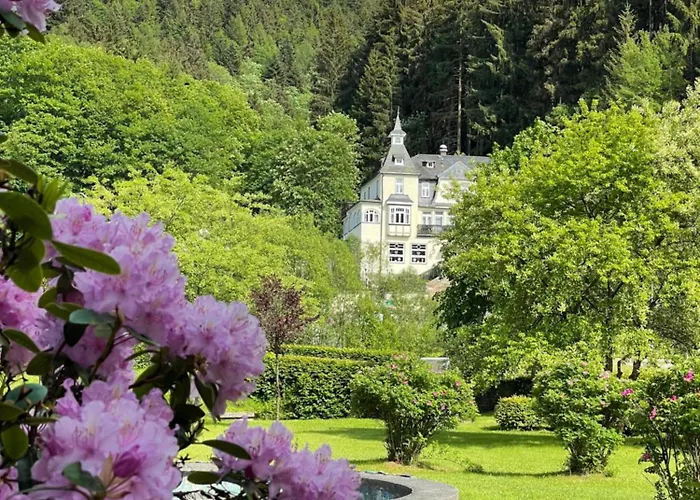 Flair-hotel Waldfrieden Hotel 3*