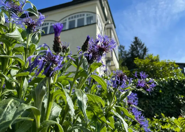 Flair-hotel Waldfrieden Oberweißbach