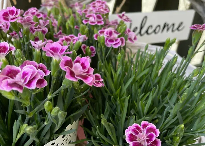 Flair-hotel Waldfrieden Oberweißbach