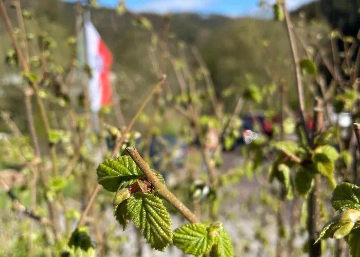 Hotell Flair-hotel Waldfrieden