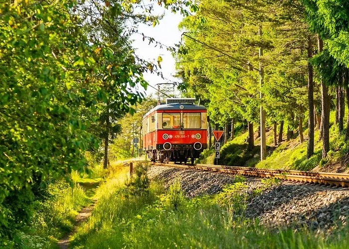 Hotell Flair-hotel Waldfrieden 3*