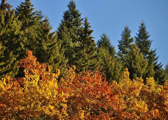 Hotell Flair-hotel Waldfrieden Oberweißbach