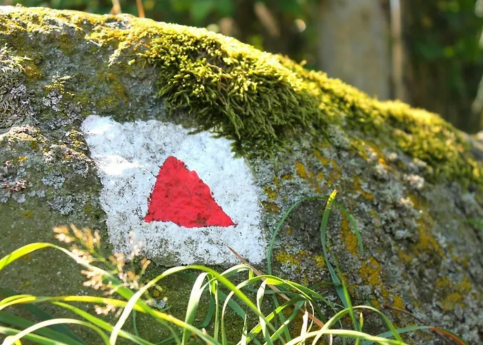 Flair-hotel Waldfrieden Hotell 3*