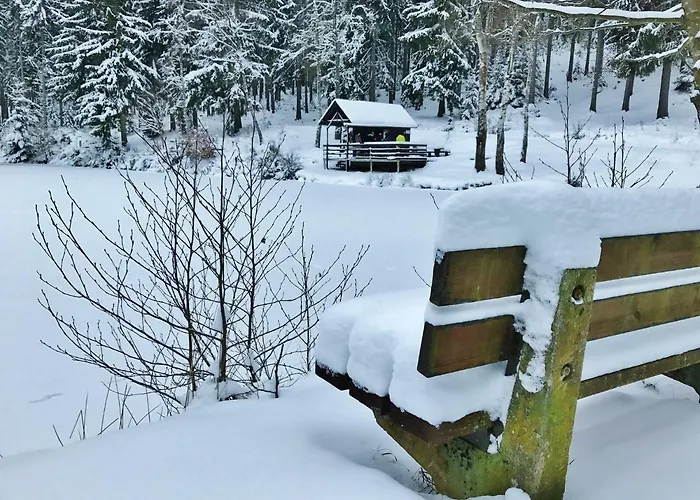 Flair-hotel Waldfrieden Oberweißbach